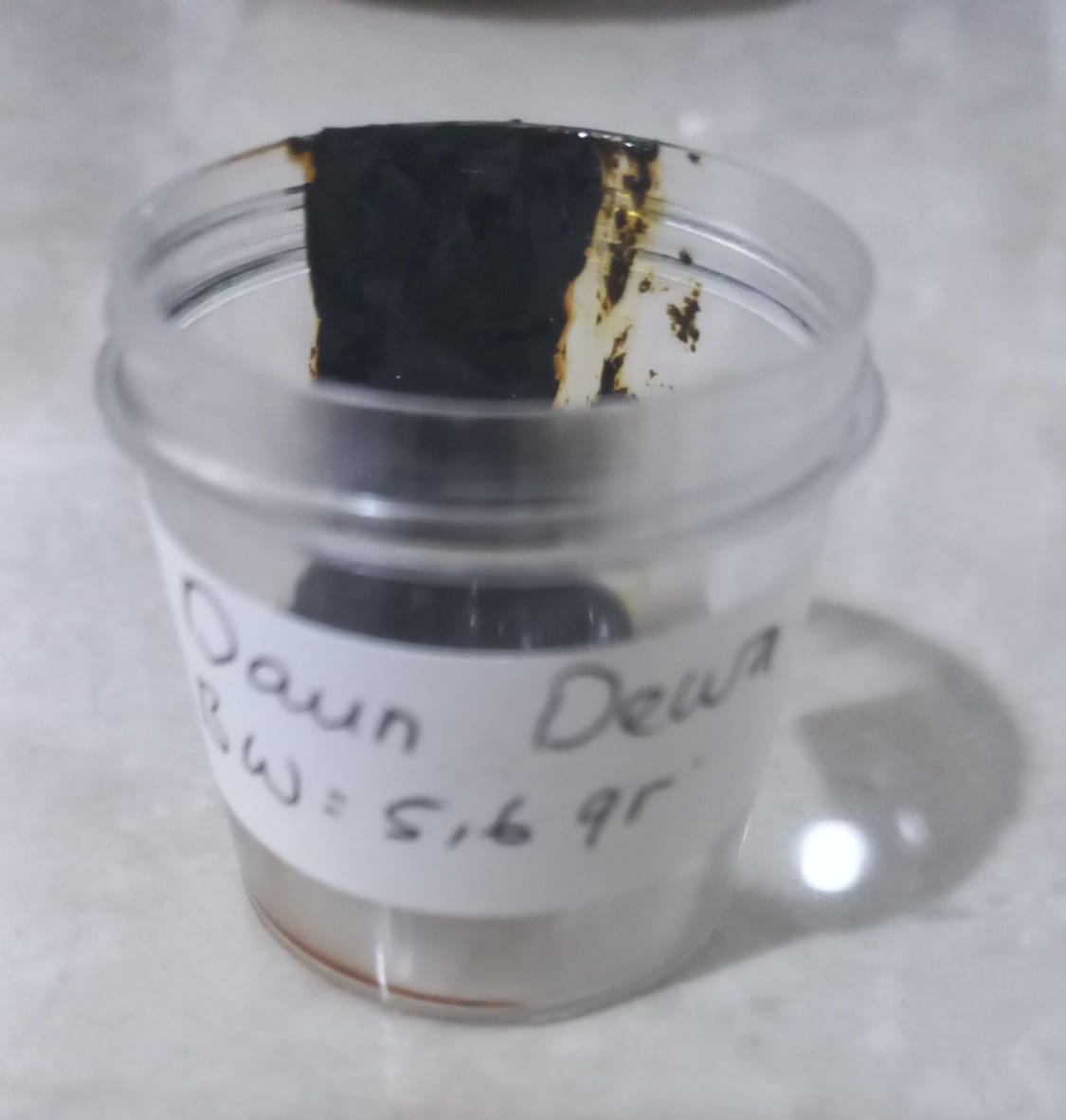 Eksrak Daun Dewa